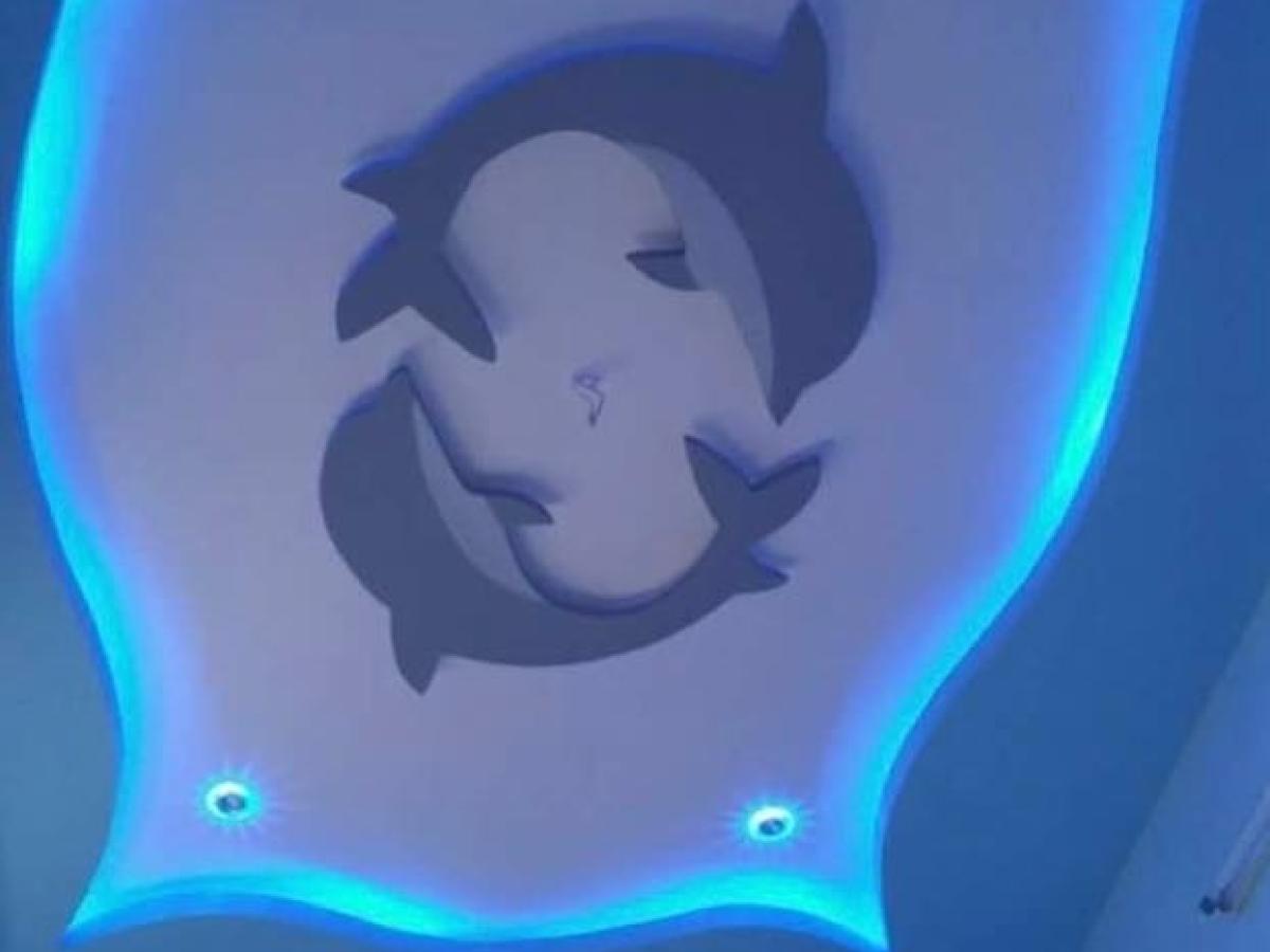 Dolphin Design  